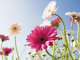 Gallery-Image-04