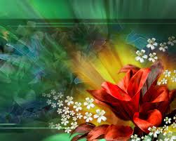 Gallery-Image-10